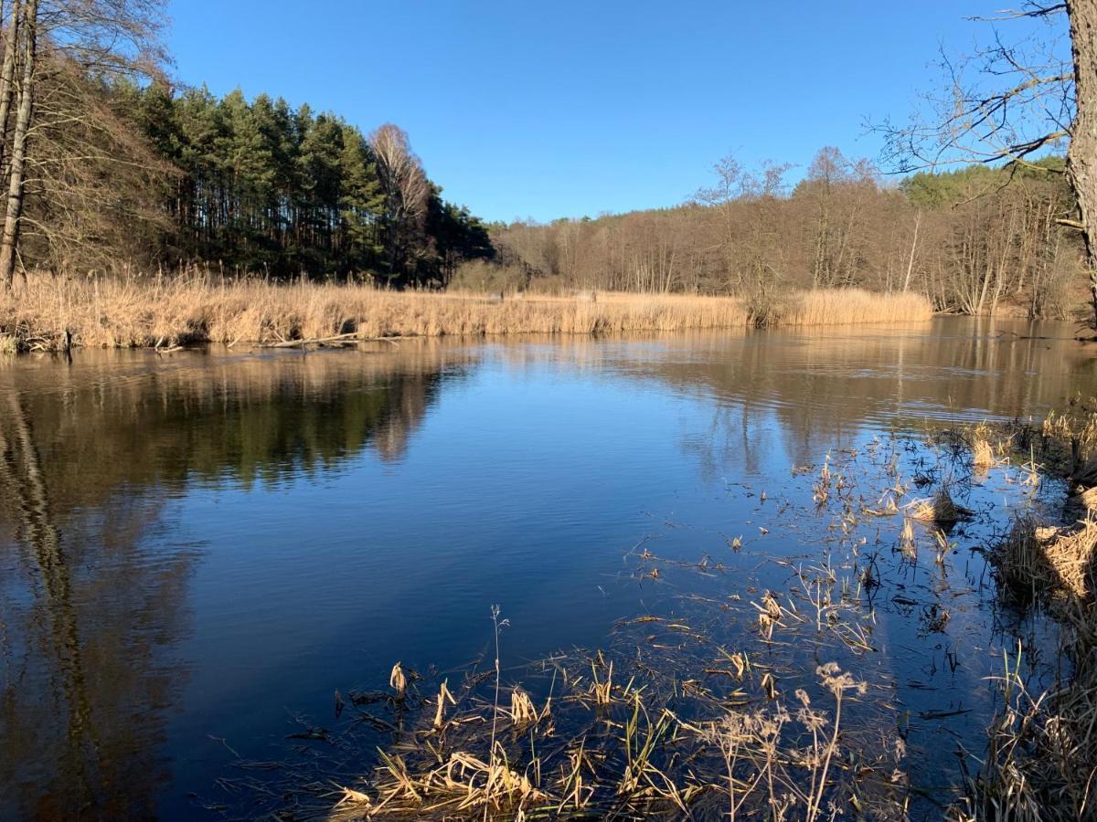 Agroturystyka Gesiniec Stare Osieczno Exterior foto