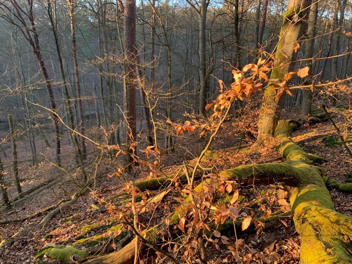Agroturystyka Gesiniec Stare Osieczno Exterior foto