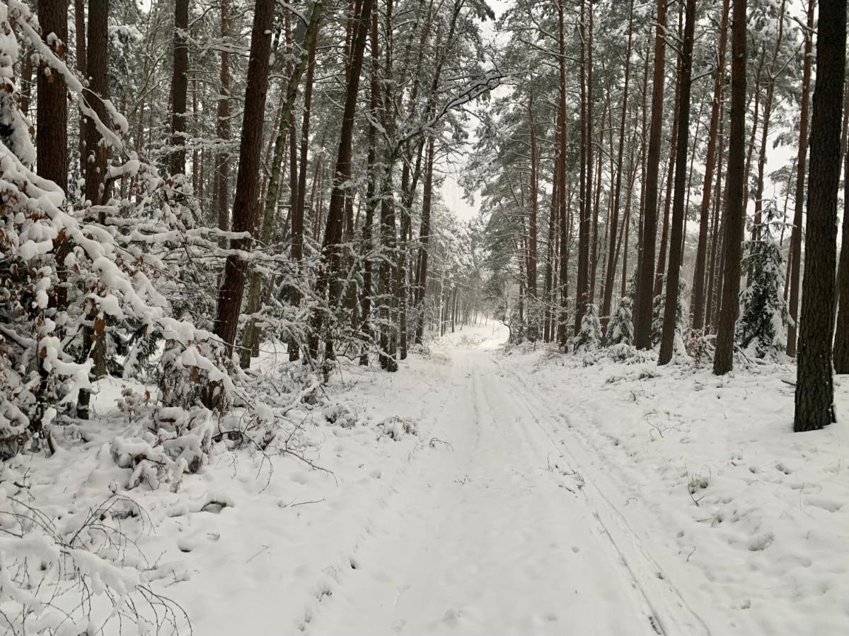 Agroturystyka Gesiniec Stare Osieczno Exterior foto