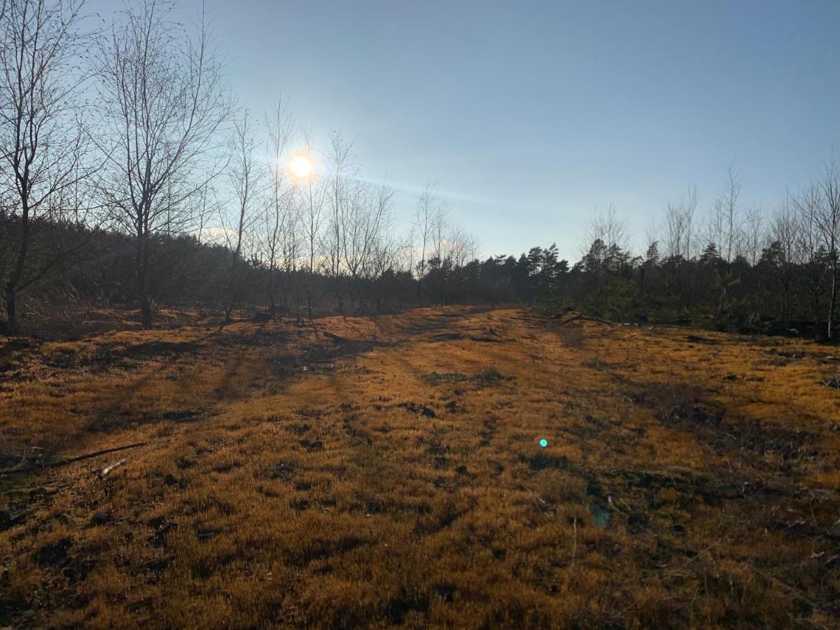 Agroturystyka Gesiniec Stare Osieczno Exterior foto