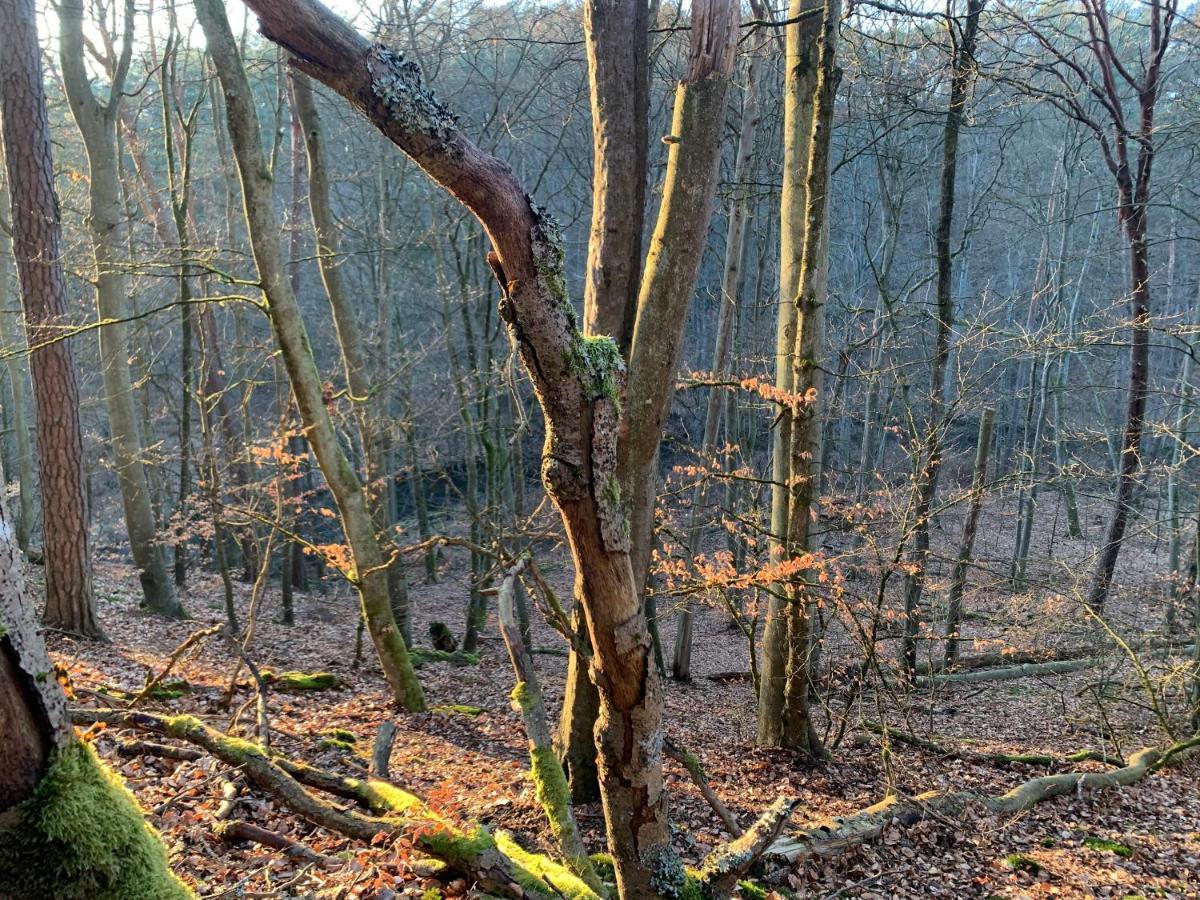 Agroturystyka Gesiniec Stare Osieczno Exterior foto